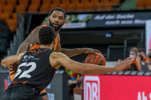 日照半程马 日照半程马